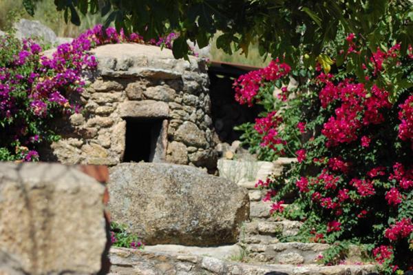 Casa Rural Virgen De La Cabeza Pensjonat Valencia de Alcántara Zewnętrze zdjęcie